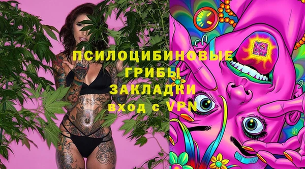 spice Верхний Тагил